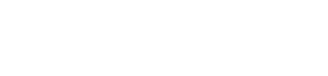 Maximize - Website brosura
